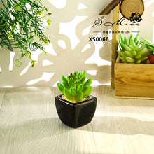 Load image into Gallery viewer, Mini Artificial Succulent Pant Bonsai (Pot Included) Creative Decoration Artificial Flower Yiwu Artificial Plant
