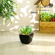 Load image into Gallery viewer, Mini Artificial Succulent Pant Bonsai (Pot Included) Creative Decoration Artificial Flower Yiwu Artificial Plant
