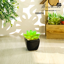 Load image into Gallery viewer, Mini Artificial Succulent Pant Bonsai (Pot Included) Creative Decoration Artificial Flower Yiwu Artificial Plant
