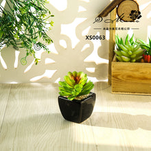 Load image into Gallery viewer, Mini Artificial Succulent Pant Bonsai (Pot Included) Creative Decoration Artificial Flower Yiwu Artificial Plant
