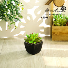 Load image into Gallery viewer, Mini Artificial Succulent Pant Bonsai (Pot Included) Creative Decoration Artificial Flower Yiwu Artificial Plant
