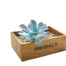 Load image into Gallery viewer, Blue Series Artificial Succulent Pant Flower Head Creative DIY Accessories Flower Arrangement Artificial Flower Plant Wall Supplies Green Plant

