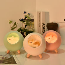 Load image into Gallery viewer, Creative Little Cute Pet House USB Ambience Light Children Girl Bedroom Bedside Cartoon Led Sleeping with Small Night Lamp Gift
