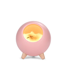 Load image into Gallery viewer, Creative Little Cute Pet House USB Ambience Light Children Girl Bedroom Bedside Cartoon Led Sleeping with Small Night Lamp Gift
