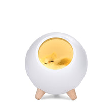 Load image into Gallery viewer, Creative Little Cute Pet House USB Ambience Light Children Girl Bedroom Bedside Cartoon Led Sleeping with Small Night Lamp Gift
