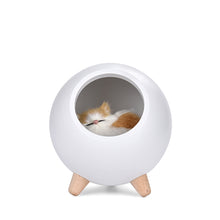 Load image into Gallery viewer, Led Pet Room Small Night Lamp Rechargeable Bedroom Bedside Lamp Kitty Desktop Atmosphere Small Night Lamp
