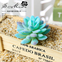 Load image into Gallery viewer, Blue Series Artificial Succulent Pant Flower Head Creative DIY Accessories Flower Arrangement Artificial Flower Plant Wall Supplies Green Plant
