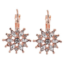 Load image into Gallery viewer, Japanese and Korean Fashion Flower Crystal Stud Earrings Korean Style Refined Rhinestone Snowflake Ornament
