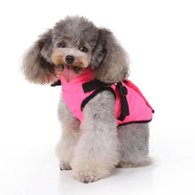 Load image into Gallery viewer, Winter Clothing Pet Clothing Zipper Jacket Winter Clothing Pet Coat for Dog
