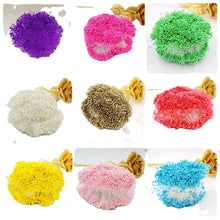 Load image into Gallery viewer, 900pcs/lot Random Mixed Double Heads DIY Artificial Mini Pearl Flower Stamen Pistil 1mm Floral Stamen For Wedding Decoration DIY
