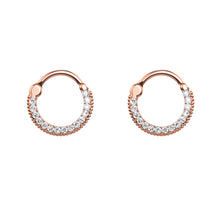 Load image into Gallery viewer, Stainless Steel Zircon Nose Ring Nose Stud Ear Studs Piercing Jewelry
