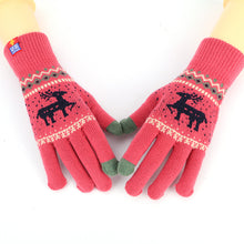 Load image into Gallery viewer, Fleece Lined Padded Warm Keeping Gloves Christmas Gift Cartoon Knitted Touch Screen Finger Gloves
