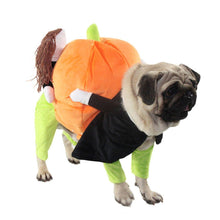 Load image into Gallery viewer, Solu Pet Pumpkin Costume Halloween Funny Pet Pumpkin Costume Pet Role Play Special Event Costume Cute Design
