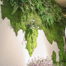 Load image into Gallery viewer, 1x1m Simulation Artificial Moss Grass Turf Mat Wall Green Plants DIY Home Lawn Mini Garden Micro Landscape Decoration
