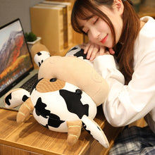 Load image into Gallery viewer, 1pc 30-65CM Cute Cattle Plush Toy Stuffed Kawaii Milk Cow Soft Animals Doll Pillow For Kids Girls Nice Birthday Wedding Gifts
