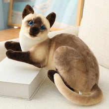 Load image into Gallery viewer, 1pc Simulation American Shorthai &amp; Siamese Cat Plush Stuffed Lifelike Doll Animal Pet Toys For Children Home Decor Baby Gift
