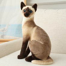 Load image into Gallery viewer, 1pc Simulation American Shorthai &amp; Siamese Cat Plush Stuffed Lifelike Doll Animal Pet Toys For Children Home Decor Baby Gift
