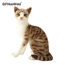 Load image into Gallery viewer, 1pc Simulation American Shorthai &amp; Siamese Cat Plush Stuffed Lifelike Doll Animal Pet Toys For Children Home Decor Baby Gift
