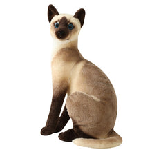 Load image into Gallery viewer, 1pc Simulation American Shorthai &amp; Siamese Cat Plush Stuffed Lifelike Doll Animal Pet Toys For Children Home Decor Baby Gift
