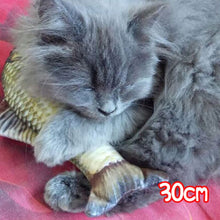 Load image into Gallery viewer, 20/30/40 cm Simulation Fish Plush Animals Toys  Pillow Plush Toys Funny Pet Animal Toys
