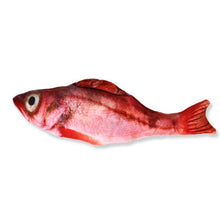 Load image into Gallery viewer, 20/30/40 cm Simulation Fish Plush Animals Toys  Pillow Plush Toys Funny Pet Animal Toys

