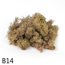 Load image into Gallery viewer, 20/40g  Artificial Plant Moss DIY Home Wall Garden Ornament Micro Landscape Fake Flowers Decoration Material
