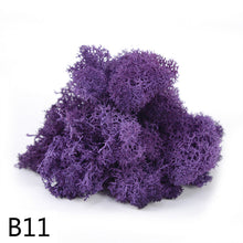 Load image into Gallery viewer, 20/40g  Artificial Plant Moss DIY Home Wall Garden Ornament Micro Landscape Fake Flowers Decoration Material
