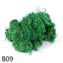 Load image into Gallery viewer, 20/40g  Artificial Plant Moss DIY Home Wall Garden Ornament Micro Landscape Fake Flowers Decoration Material
