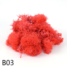 Load image into Gallery viewer, 20/40g  Artificial Plant Moss DIY Home Wall Garden Ornament Micro Landscape Fake Flowers Decoration Material
