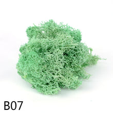 Load image into Gallery viewer, 20/40g  Artificial Plant Moss DIY Home Wall Garden Ornament Micro Landscape Fake Flowers Decoration Material
