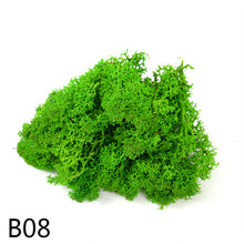 Load image into Gallery viewer, 20/40g  Artificial Plant Moss DIY Home Wall Garden Ornament Micro Landscape Fake Flowers Decoration Material
