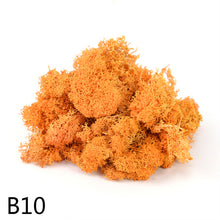 Load image into Gallery viewer, 20/40g  Artificial Plant Moss DIY Home Wall Garden Ornament Micro Landscape Fake Flowers Decoration Material
