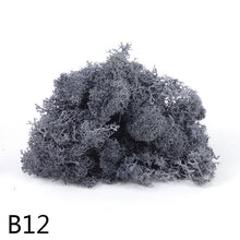 Load image into Gallery viewer, 20/40g  Artificial Plant Moss DIY Home Wall Garden Ornament Micro Landscape Fake Flowers Decoration Material

