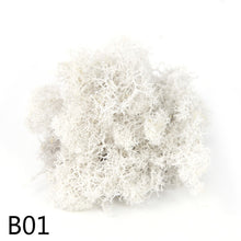 Load image into Gallery viewer, 20/40g  Artificial Plant Moss DIY Home Wall Garden Ornament Micro Landscape Fake Flowers Decoration Material
