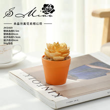 Load image into Gallery viewer, Succulent Plant Bonsai Creative Decoration Gift Flower Plant Interior Decoration
