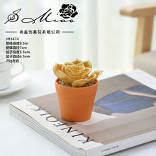 Load image into Gallery viewer, Succulent Plant Bonsai Creative Decoration Gift Flower Plant Interior Decoration

