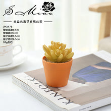 Load image into Gallery viewer, Succulent Plant Bonsai Creative Decoration Gift Flower Plant Interior Decoration
