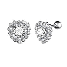 Load image into Gallery viewer, Hot New Zircon Ear Bone Stud Earrings Piercing Jewelry
