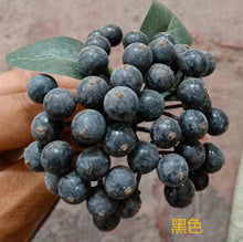 Load image into Gallery viewer, Bunched Branches Fu Lu Guo Hill Fruit Decorative Floral Flower Arrangement Accessories Christmas Small Berry
