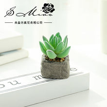 Load image into Gallery viewer, Small Stone Pot Artificial Succulent Pant Potted Plant (Pot Included) Fashion Home Decoration Simulation Plant Artificial Flowers
