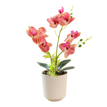 Load image into Gallery viewer, 3D Printing Film Three-Fork Eight-Flower Phalaenopsis Bonsai Artificial Flower Fashion Home Decorations
