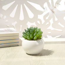Load image into Gallery viewer, Artificial Succulent Pant Potted Plant (Pot Included) Artificial Flower Bonsai Home Decoration Artificial Plant
