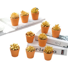 Load image into Gallery viewer, Succulent Plant Bonsai Creative Decoration Gift Flower Plant Interior Decoration
