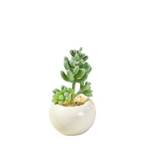 Load image into Gallery viewer, Small round Basin Mini Artificial Succulent Pant Potted Plant (Pot Included) Emulational Flower Decoration
