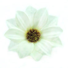 Load image into Gallery viewer, 30PCS 6cm Gerbera Artificial Flower Home Party Decoration Scrapbooking Accessories Wreath DIY Head Cheap Craft Fake Flowers
