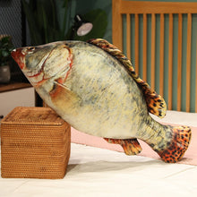 Load image into Gallery viewer, 30cm 3D Simulation Gold Fish Plush Toys Stuffed Soft Animal Carp Plush Pillow Creative Sofa Pillow Cushion Gift Kids Toy
