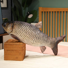 Load image into Gallery viewer, 30cm 3D Simulation Gold Fish Plush Toys Stuffed Soft Animal Carp Plush Pillow Creative Sofa Pillow Cushion Gift Kids Toy
