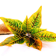 Load image into Gallery viewer, 35cm Artificial Plants Flowers silk Leaf Plastic Green Grass Tree Plant Fake Leaf Foliage Bush for Home Wedding bedroom Decor
