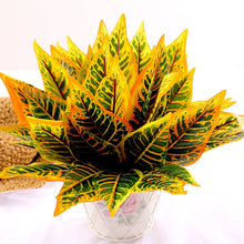 Load image into Gallery viewer, 35cm Artificial Plants Flowers silk Leaf Plastic Green Grass Tree Plant Fake Leaf Foliage Bush for Home Wedding bedroom Decor
