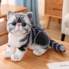 Load image into Gallery viewer, 4 Colors 31cm INS Like Real Prone Cat Plush Doll Stuffed Pure Colors Grey White Yellow Kitten Toy Pets Animal Kids Gift
